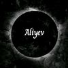 alyef_056