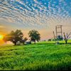 hamid.ali164