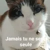 imouchaa