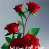 userrt2001