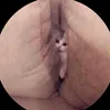 meoqbao