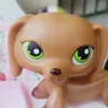 lps.ara.cute0978