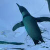 renkai_1230403