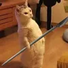 nhin.gi.follow.di.nhanh