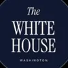 the_white_house_fan
