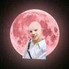 orgorgn_swhhh