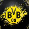 bvb2012.w