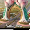 66 SEN HỒNG ĐỒNG THÁP