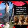 sulemar11