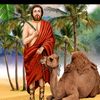 user7252405831550