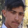 serdar.eleki