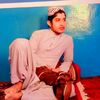 feroz.khan7514