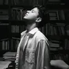 shabawi_17