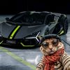 youssef.youssefmed.abd88
