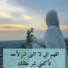 .altaee6