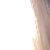 allipalli69