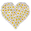ayselsalim292