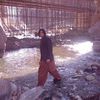 zafar.khan3694