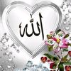 .official.account71