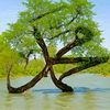 wacdi_iyo_qisooyin