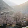 sahr4598