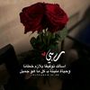 zahra56271