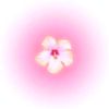 user733087678519