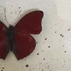 _a_8j