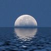 lunamorenoxv