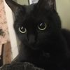 deborahthecrazylady