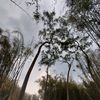 salima_store050