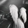 unaa_dozaa