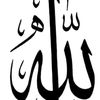 user4934156330591