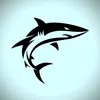 fasteam_shark