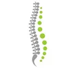 ChiroChiro