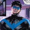 urnightwing2