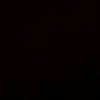 wyz_372
