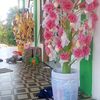 diri_ku3