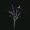 lavender8.com