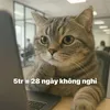luongthapthieungu