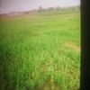 user81128362220782