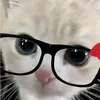 yuriyurs2