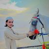 muhammad.ilyas6579