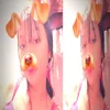 camillepo