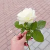 n_2l8