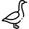 goose.world.24