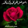 user6242021874922
