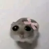 aye_x31
