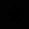 mt15555