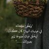 user501090980